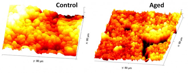 control vs aged graphs